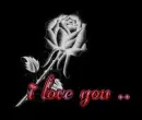 i love you