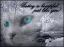 today is beautiful day
