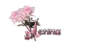 Jenna 3 pink roses