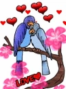 birds in love