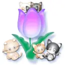 cats and a flower