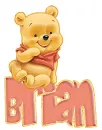 baby winnie pooh brian