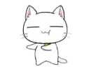kawaii cat