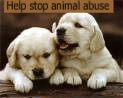 help stop animal abuse