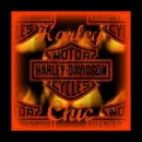 harley chic