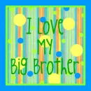 i love my big brother
