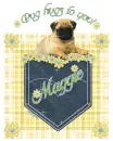 Pug hugs to you Maggie
