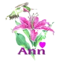 ann