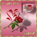 judi