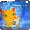 kitty