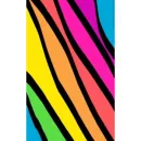 rainbow zebra