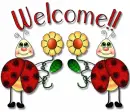 welcome-lady bugs