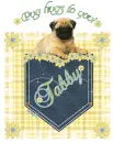 Pug hugs to you Tabby