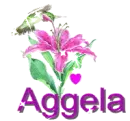 aggela