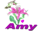 amy