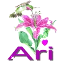 ari