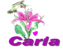 carla