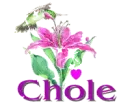 chole