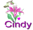 cindy
