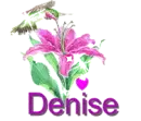 denise