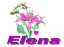 elena