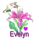 evelyn
