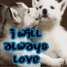 puppy love