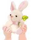 cute bunny