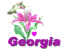georgia