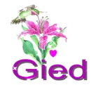 gied