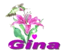 gina