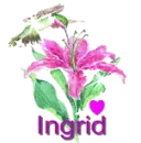 ingrid