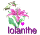 iolanthe