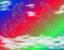 horses