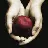 twilight, new moon and eclipse