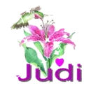 judi