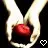 twilight, new moon, eclipse and breaking dawn