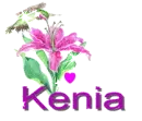 kenia