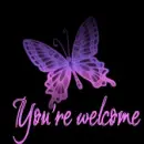 you are welcome
