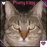 preety kitty!
