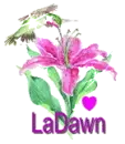 ladawn