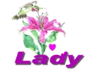 lady