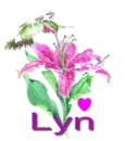 lyn