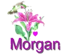 morgan