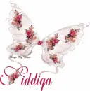Siddiqa