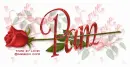 PAM RedRose