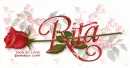 RITA RedRose
