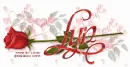 LYN RedRose