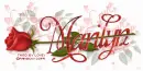MARILYN RedRose