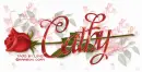 CATHY RedRose